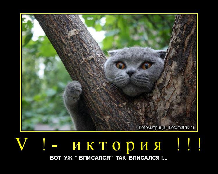 Котоматрица: V !- иктория !!! ВОТ  УЖ  " ВПИСАЛСЯ"  ТАК  ВПИСАЛСЯ !...