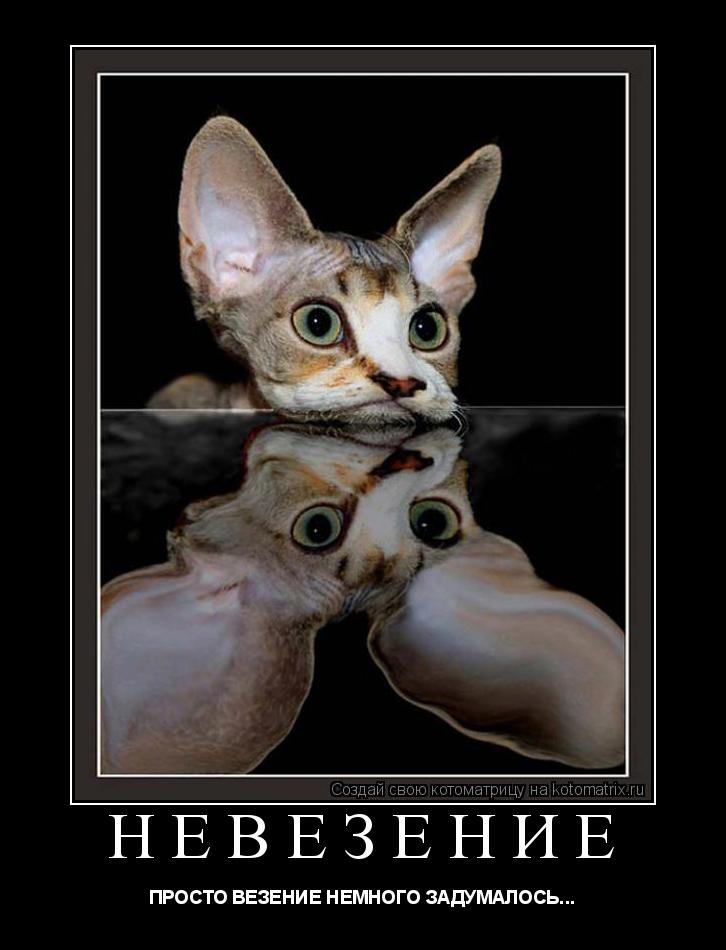 Котоматрица: НЕВЕЗЕНИЕ ПРОСТО ВЕЗЕНИЕ НЕМНОГО ЗАДУМАЛОСЬ...