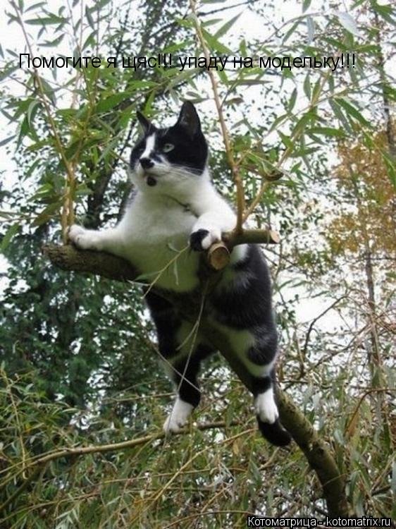 Котоматрица: Помогите я щяс!!! упаду на модельку!!!
