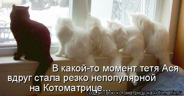 Котоматрица: В какой-то момент тетя Ася вдруг стала резко непопулярной на Котоматрице...