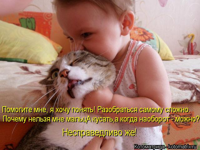 Котоматрица: Помогите мне, я хочу понять! Разобраться самому сложно. Почему нельзя мне мальцА кусать,а когда наоборот - можно? Несправедливо же!