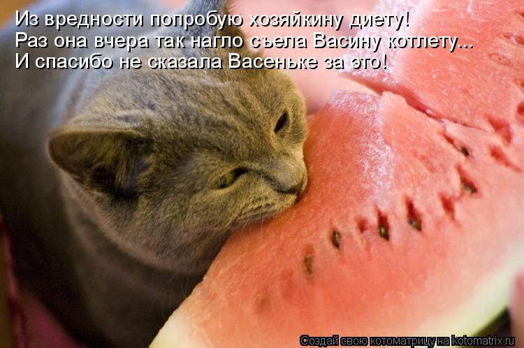 Котоматрица: Из вредности попробую хозяйкину диету! Раз она вчера так нагло съела Васину котлету... И спасибо не сказала Васеньке за это!