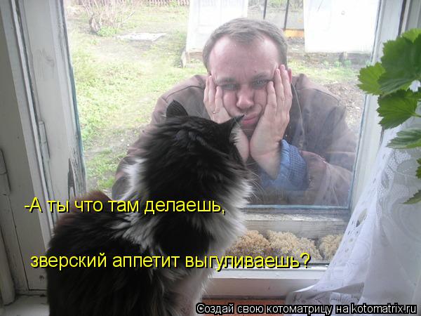 Котоматрица: -А ты что там делаешь, зверский аппетит выгуливаешь?