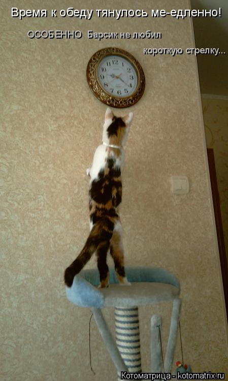 Котоматрица: Время к обеду тянулось ме-едленно! ОСОБЕННО  Барсик не любил  короткую стрелку...