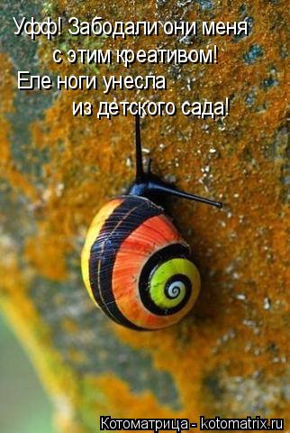 Котоматрица: Уфф! Забодали они меня  с этим креативом! Еле ноги унесла из детского сада!