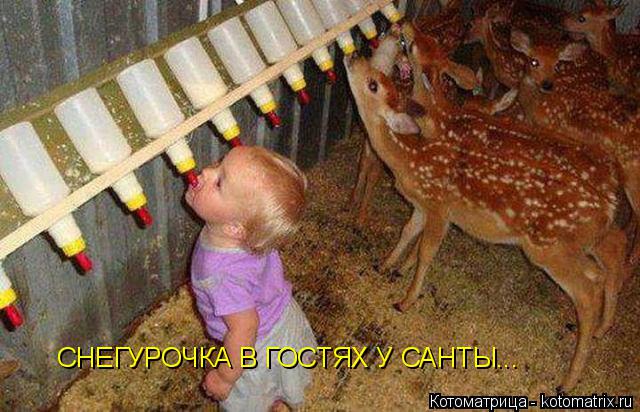 Котоматрица: СНЕГУРОЧКА В ГОСТЯХ У САНТЫ...