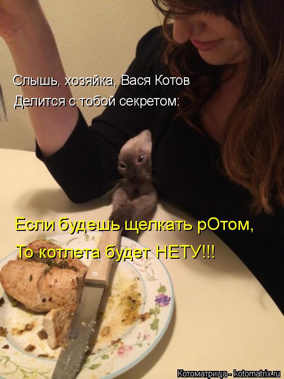 Котоматрица: Слышь, хозяйка, Вася Котов Делится с тобой секретом: Если будешь щелкать рОтом, То котлета будет НЕТУ!!!