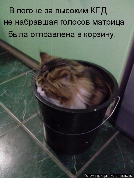 Котоматрица: В погоне за высоким КПД не набравшая голосов матрица была отправлена в корзину.