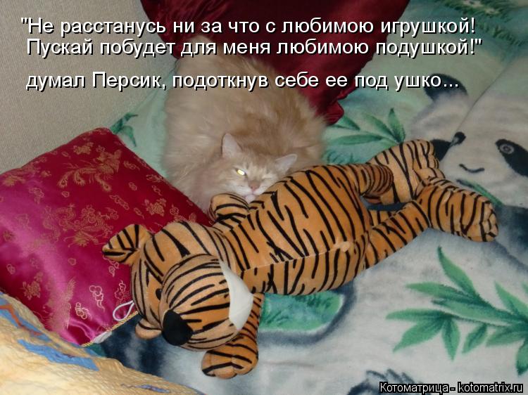 Котоматрица: думал Персик, подоткнув себе ее под ушко... "Не расстанусь ни за что с любимою игрушкой!  Пускай побудет для меня любимою подушкой!"