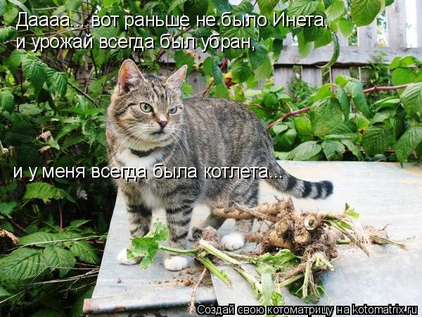 Котоматрица: Даааа... вот раньше не было Инета,  и урожай всегда был убран,   и у меня всегда была котлета...