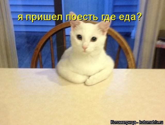 Котоматрица: я пришел поесть где еда?