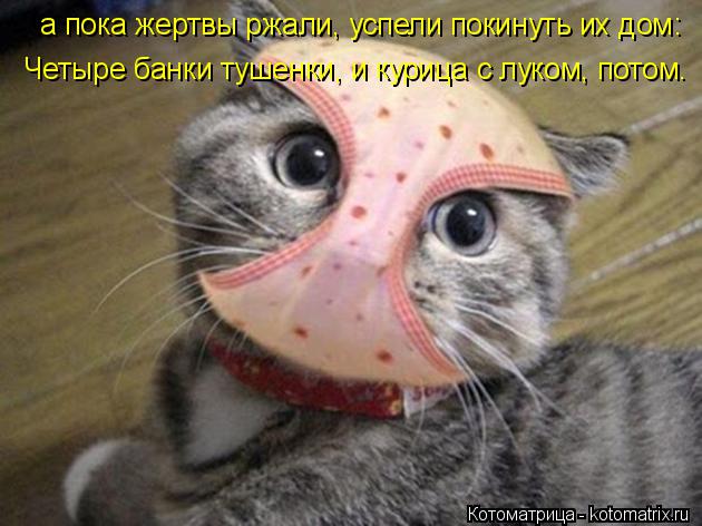 Котоматрица: а пока жертвы ржали, успели покинуть их дом: Четыре банки тушенки, и курица с луком, потом.