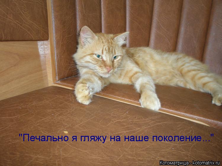 Котоматрица: "Печально я гляжу на наше поколение..."