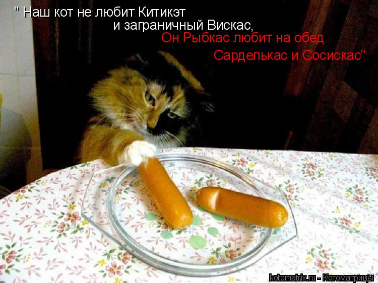 Котоматрица: " Наш кот не любит Китикэт  и заграничный Вискас,  Он Рыбкас любит на обед  Сарделькас и Сосискас"