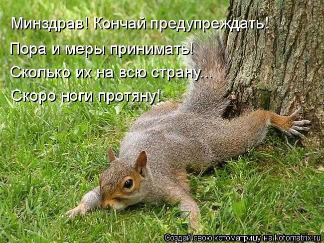 Котоматрица: Минздрав! Кончай предупреждать! Пора и меры принимать! Сколько их на всю страну... Скоро ноги протяну!