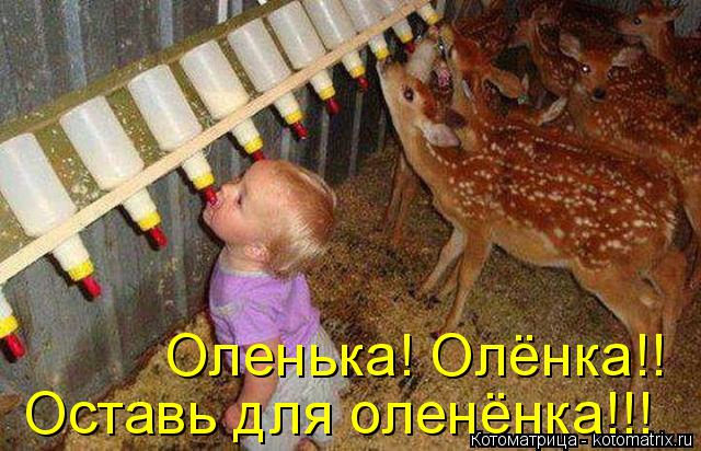Котоматрица: Оленька! Олёнка!! Оставь для оленёнка!!!