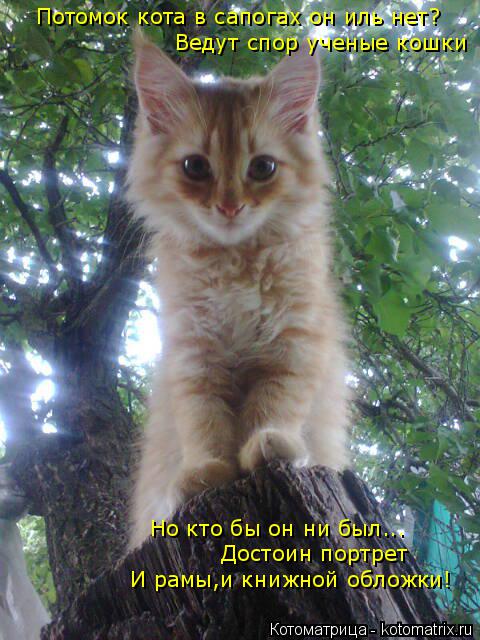 Котоматрица: Потомок кота в сапогах он иль нет? Ведут спор ученые кошки Но кто бы он ни был... Достоин портрет  И рамы,и книжной обложки!