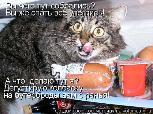 Вы чего тут собрались? Вы же спать все улеглись! А что делаю тут я? Дегустирую колбаску на бутерброд... Котоматрица: Вы чего тут собрались? Вы же спать все улеглись! А что делаю тут я? Дегустирую колбаску на бутерброды вам с ранья!
