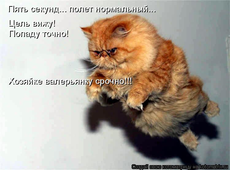 Пять секунд... полет нормальный... Цель вижу! Попаду точно! Хозяйке валерьянку срочно!!!... Котоматрица: Пять секунд... полет нормальный... Цель вижу! Попаду точно! Хозяйке валерьянку срочно!!!