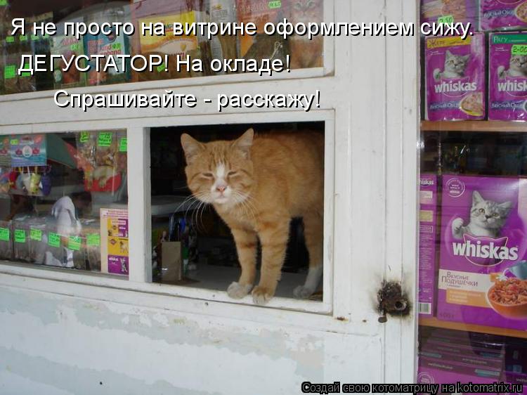 Я не просто на витрине оформлением сижу. ДЕГУСТАТОР! На окладе! Спрашивайте - расскажу!... Котоматрица: Я не просто на витрине оформлением сижу. ДЕГУСТАТОР! На окладе! Спрашивайте - расскажу!