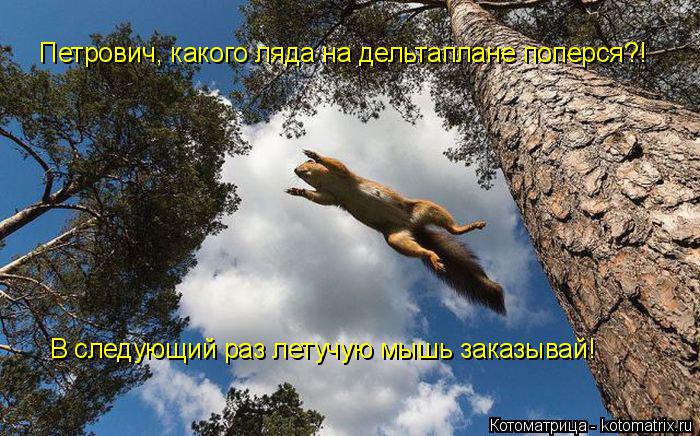 Петрович, какого ляда на дельтаплане поперся?! В следующий раз летучую мышь заказывай!... Котоматрица: Петрович, какого ляда на дельтаплане поперся?! В следующий раз летучую мышь заказывай!