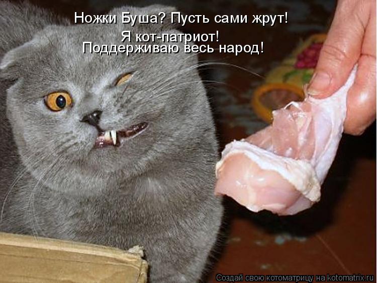 Ножки Буша? Пусть сами жрут! Я кот-патриот! Поддерживаю весь народ!... Котоматрица: Ножки Буша? Пусть сами жрут! Я кот-патриот! Поддерживаю весь народ!