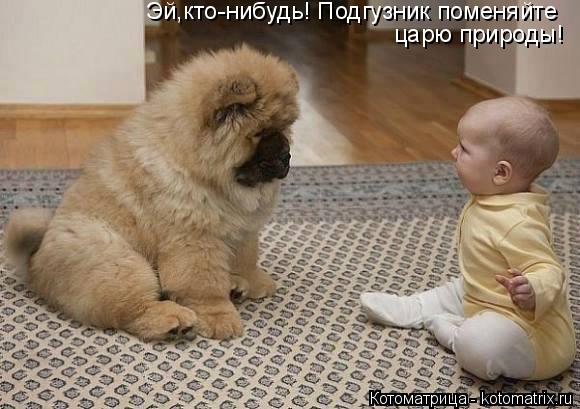 Эй,кто-нибудь! Подгузник поменяйте царю природы!... Котоматрица: Эй,кто-нибудь! Подгузник поменяйте царю природы!