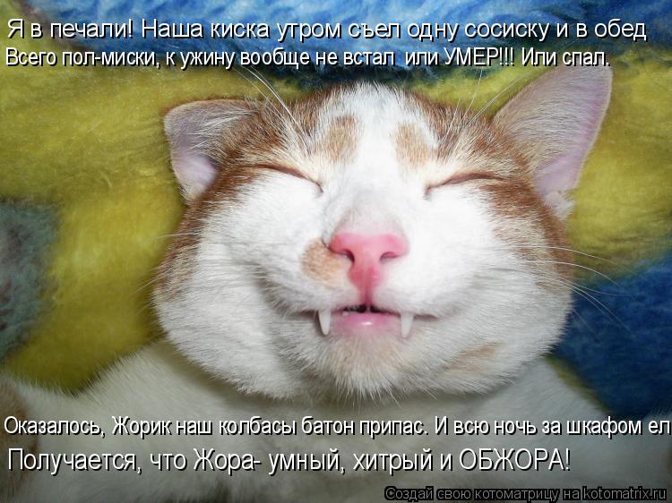 Я в печали! Наша киска утром съел одну сосиску и в обед Всего пол-миски, к ужину вообще не встал или... Котоматрица: Я в печали! Наша киска утром съел одну сосиску и в обед Всего пол-миски, к ужину вообще не встал или УМЕР!!! Или спал. Оказалось, Жорик наш колб