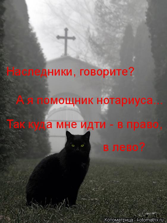 Наследники, говорите? А я помощник нотариуса... Так куда мне идти - в право, в лево?... Котоматрица: Наследники, говорите? А я помощник нотариуса... Так куда мне идти - в право, в лево?