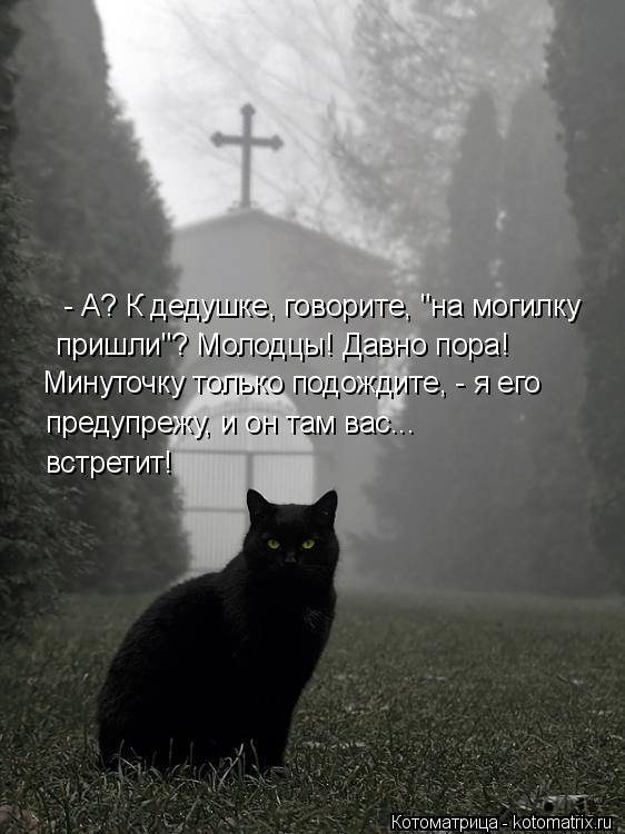- А? К дедушке, говорите, "на могилку пришли"? Молодцы! Давно пора! Минуточку только подождите, - ... Котоматрица: - А? К дедушке, говорите, "на могилку пришли"? Молодцы! Давно пора! Минуточку только подождите, - я его предупрежу, и он там вас... встретит!