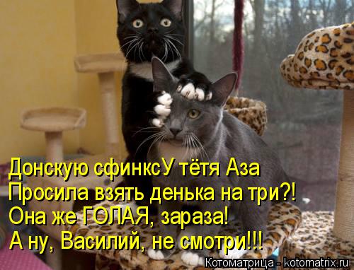Донскую сфинксУ тётя Аза Просила взять денька на три?! Она же ГОЛАЯ, зараза! А ну, Василий, не смотри... Котоматрица: Донскую сфинксУ тётя Аза Просила взять денька на три?! Она же ГОЛАЯ, зараза! А ну, Василий, не смотри!!!