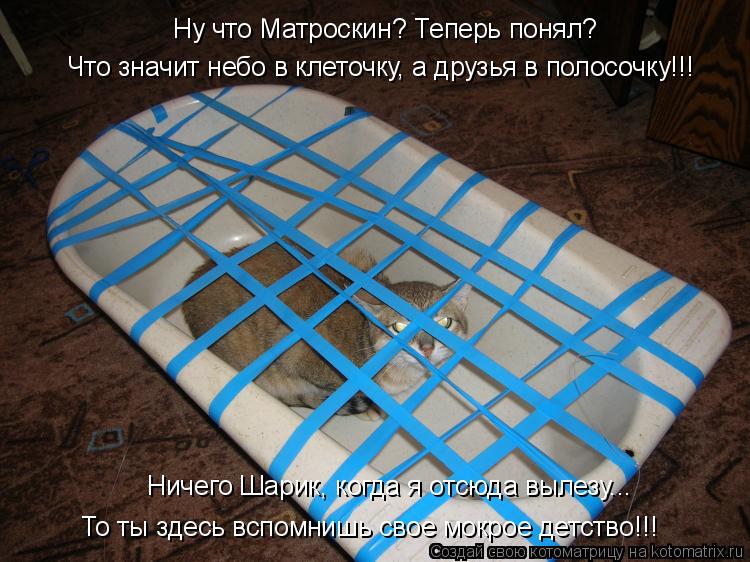 Ну что Матроскин? Теперь понял? Что значит небо в клеточку, а друзья в полосочку!!! Ничего Шарик, ко... Котоматрица: Ну что Матроскин? Теперь понял? Что значит небо в клеточку, а друзья в полосочку!!! Ничего Шарик, когда я отсюда вылезу... То ты здесь вспомниш
