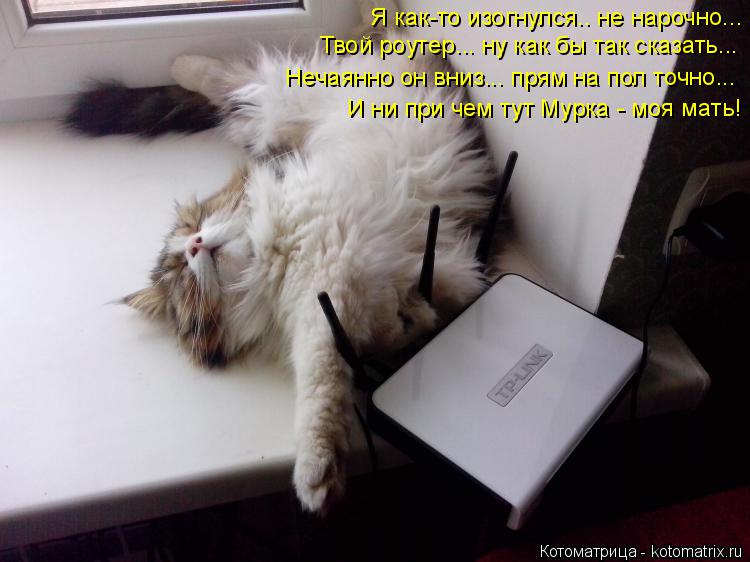 Я как-то изогнулся.. не нарочно... Твой роутер... ну как бы так сказать... Нечаянно он вниз... прям н... Котоматрица: Я как-то изогнулся.. не нарочно... Твой роутер... ну как бы так сказать... Нечаянно он вниз... прям на пол точно... И ни при чем тут Мурка - моя мать!