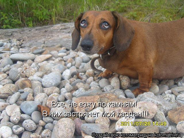 Все, не езжу по камням! В них застрянет мой кардан!!!... Котоматрица: Все, не езжу по камням! В них застрянет мой кардан!!!