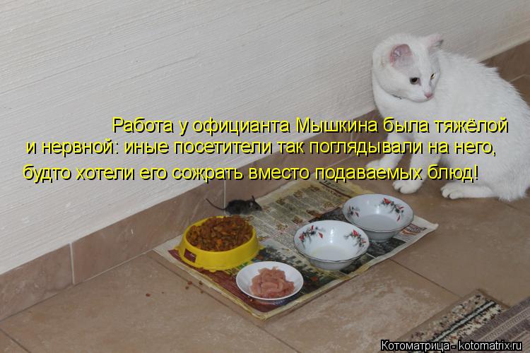 Работа у официанта Мышкина была тяжёлой и нервной: иные посетители так поглядывали на него, будто х... Котоматрица: Работа у официанта Мышкина была тяжёлой и нервной: иные посетители так поглядывали на него, будто хотели его сожрать вместо подаваемых бл