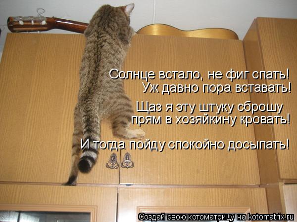 прям в хозяйкину кровать! Солнце встало, не фиг спать! Уж давно пора вставать! Щаз я эту штуку сброшу... Котоматрица: прям в хозяйкину кровать! Солнце встало, не фиг спать! Уж давно пора вставать! Щаз я эту штуку сброшу И тогда пойду спокойно досыпать!