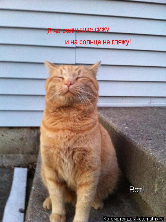 Я на солнышке сижу Я на солнышке сижу и на солнце не гляжу! Вот!... Котоматрица: Я на солнышке сижу Я на солнышке сижу и на солнце не гляжу! Вот!