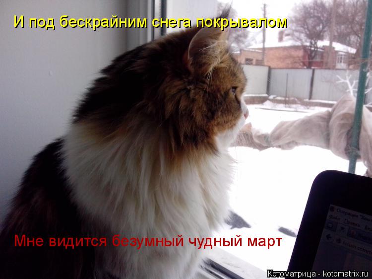 И под бескрайним снега покрывалом Мне видится безумный чудный март... Котоматрица: И под бескрайним снега покрывалом Мне видится безумный чудный март