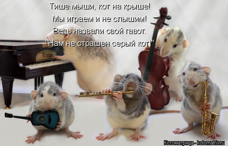 Тише мыши, кот на крыше! Мы играем и не слышим! Ведь назвали свой гавот. "Нам не страшен серый кот!"... Котоматрица: Тише мыши, кот на крыше! Мы играем и не слышим! Ведь назвали свой гавот. "Нам не страшен серый кот!"