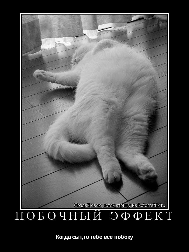 ПОБОЧНЫЙ ЭФФЕКТ Когда сыт,то тебе все побоку... Котоматрица: ПОБОЧНЫЙ ЭФФЕКТ Когда сыт,то тебе все побоку