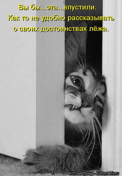 Вы бы...эта...впустили. Как то не удобно рассказывать о своих достоинствах лёжа.... Котоматрица: Вы бы...эта...впустили. Как то не удобно рассказывать о своих достоинствах лёжа.