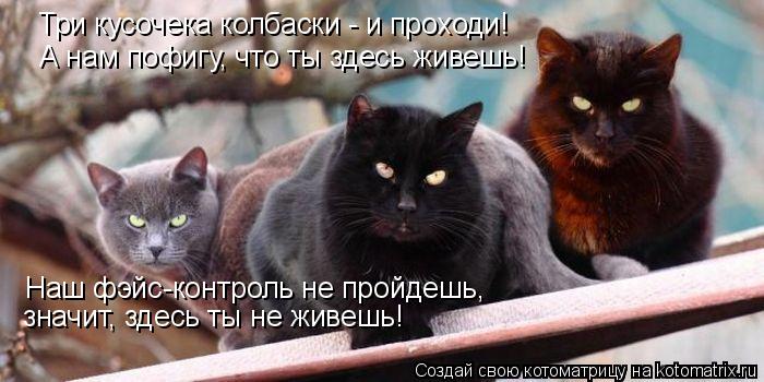 Три кусочека колбаски - и проходи! А нам пофигу, что ты здесь живешь! Наш фэйс-контроль не пройдешь, ... Котоматрица: Три кусочека колбаски - и проходи! А нам пофигу, что ты здесь живешь! Наш фэйс-контроль не пройдешь, значит, здесь ты не живешь!