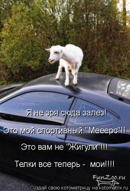 Я не зря сюда залез! Это вам не "Жигули"!!! Это мой спортивный "Мееерс"!! Телки все теперь - мои!!!!... Котоматрица: Я не зря сюда залез! Это вам не "Жигули"!!! Это мой спортивный "Мееерс"!! Телки все теперь - мои!!!!