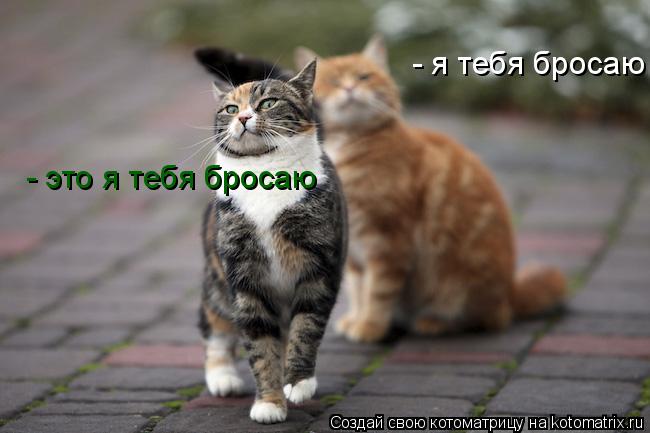- я тебя бросаю - это я тебя бросаю... Котоматрица: - я тебя бросаю - это я тебя бросаю
