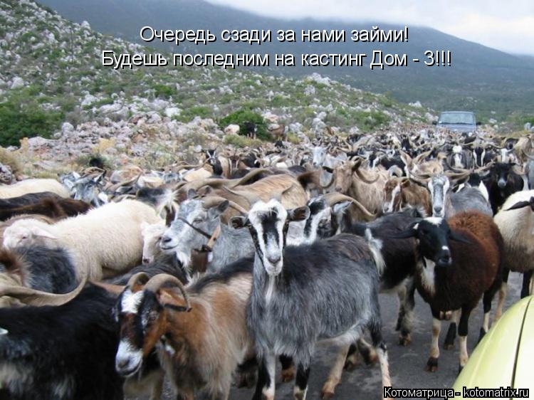 Очередь сзади за нами займи! Будешь последним на кастинг Дом - 3!!!... Котоматрица: Очередь сзади за нами займи! Будешь последним на кастинг Дом - 3!!!