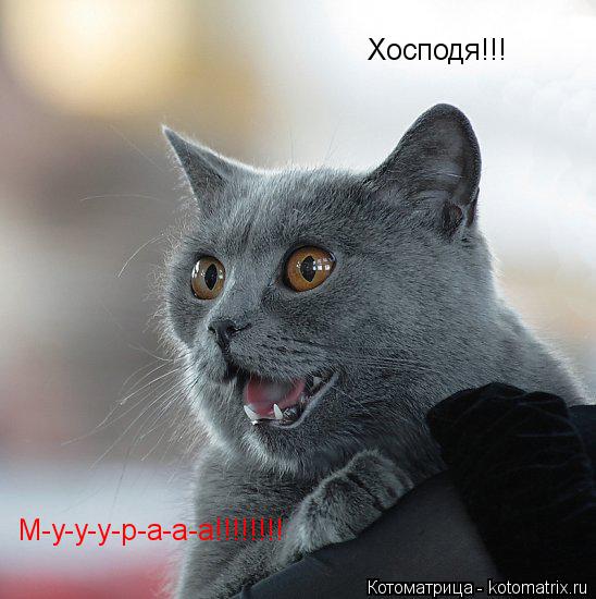 Котоматрица: Хосподя!!! М-у-у-у-р-а-а-а!!!!!!!!