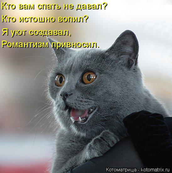 Кто вам спать не давал? Кто истошно вопил? Я уют создавал, Романтизм привносил.... Котоматрица: Кто вам спать не давал? Кто истошно вопил? Я уют создавал, Романтизм привносил.