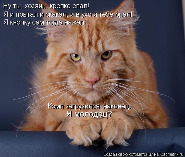 Я и прыгал и скакал, и в ухо я тебе орал! Я кнопку сам тогда нажал! Комп загрузился, наконец... Я мол... Котоматрица: Я и прыгал и скакал, и в ухо я тебе орал! Я кнопку сам тогда нажал! Комп загрузился, наконец... Я молодец? Ну ты, хозяин, крепко спал!