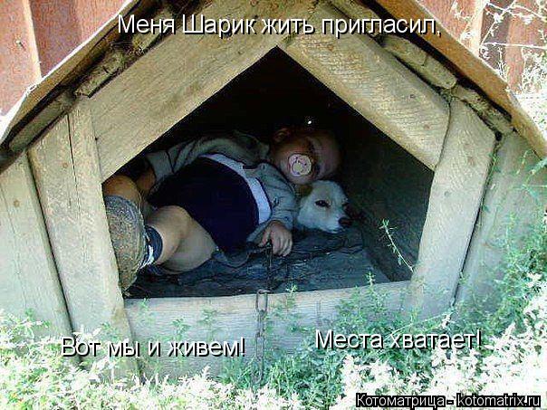 Котоматрица: Меня Шарик жить пригласил, Вот мы и живем! Места хватает!