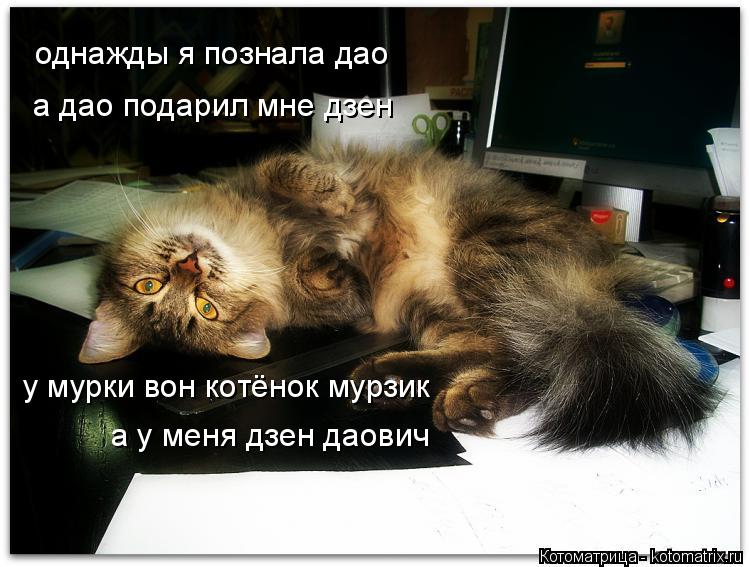 у мурки вон котёнок мурзик а у меня дзен даович а дао подарил мне дзен однажды я познала дао... Котоматрица: у мурки вон котёнок мурзик а у меня дзен даович а дао подарил мне дзен однажды я познала дао